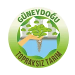 Kreatif Jet® | Performans Odaklı Dijital Reklam ve Büyüme Ajansı