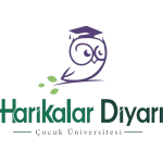 Kreatif Jet® | Performans Odaklı Dijital Reklam ve Büyüme Ajansı