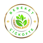 Kreatif Jet® | Performans Odaklı Dijital Reklam ve Büyüme Ajansı