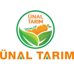 Kreatif Jet® | Performans Odaklı Dijital Reklam ve Büyüme Ajansı