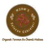 Kreatif Jet® | Performans Odaklı Dijital Reklam ve Büyüme Ajansı