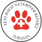 Kreatif Jet® | Performans Odaklı Dijital Reklam ve Büyüme Ajansı