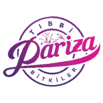 Kreatif Jet® | Performans Odaklı Dijital Reklam ve Büyüme Ajansı